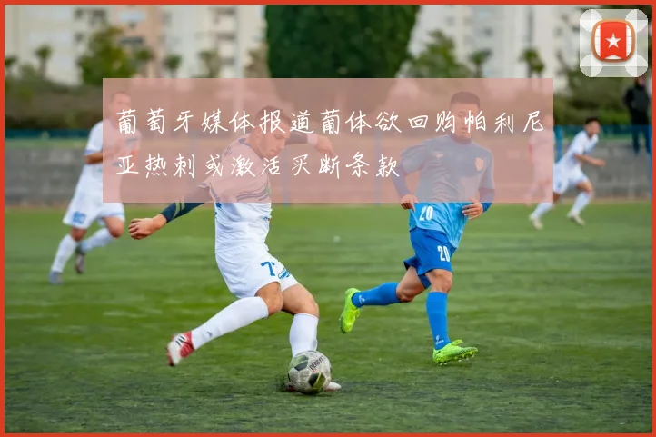 葡萄牙媒体报道葡体欲回购帕利尼亚热刺或激活买断条款