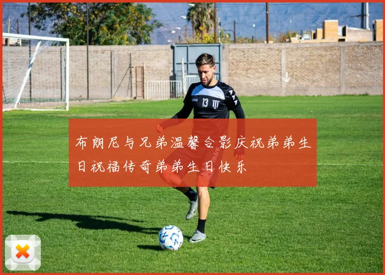 布朗尼与兄弟温馨合影庆祝弟弟生日祝福传奇弟弟生日快乐